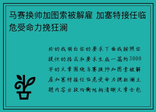 马赛换帅加图索被解雇 加塞特接任临危受命力挽狂澜